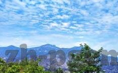 足球比分大师-足球比分大师，绿茵场上的数据领航者